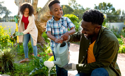 Soil and Plant Analysis