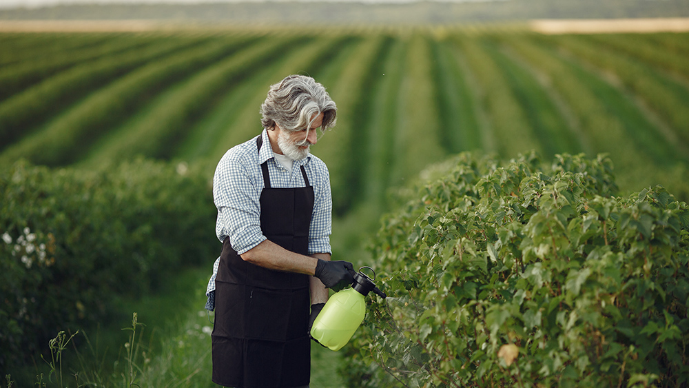 Nourishing the Earth: The Impact and Evolution of Fertilizers